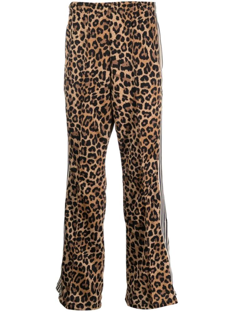 KAPITAL cheetah-print flared track pants - Brown Cover