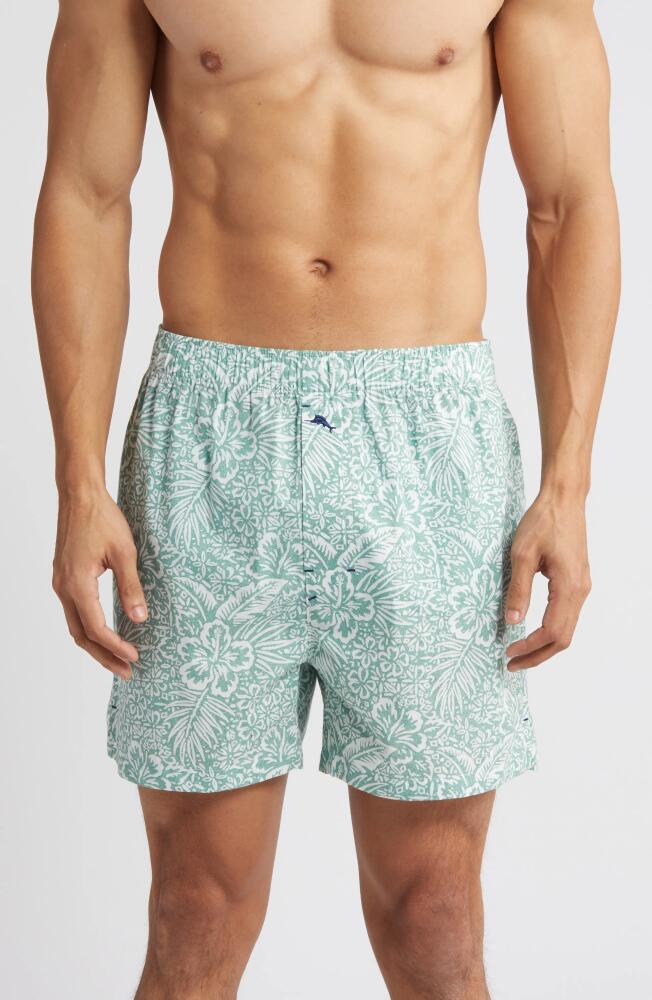 Tommy Bahama Cotton Pajama Boxers in Mint Print Cover