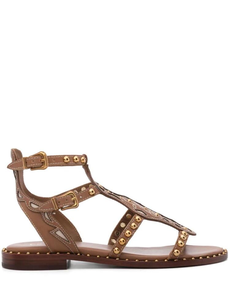 Ash Plaza leather sandals - Brown Cover