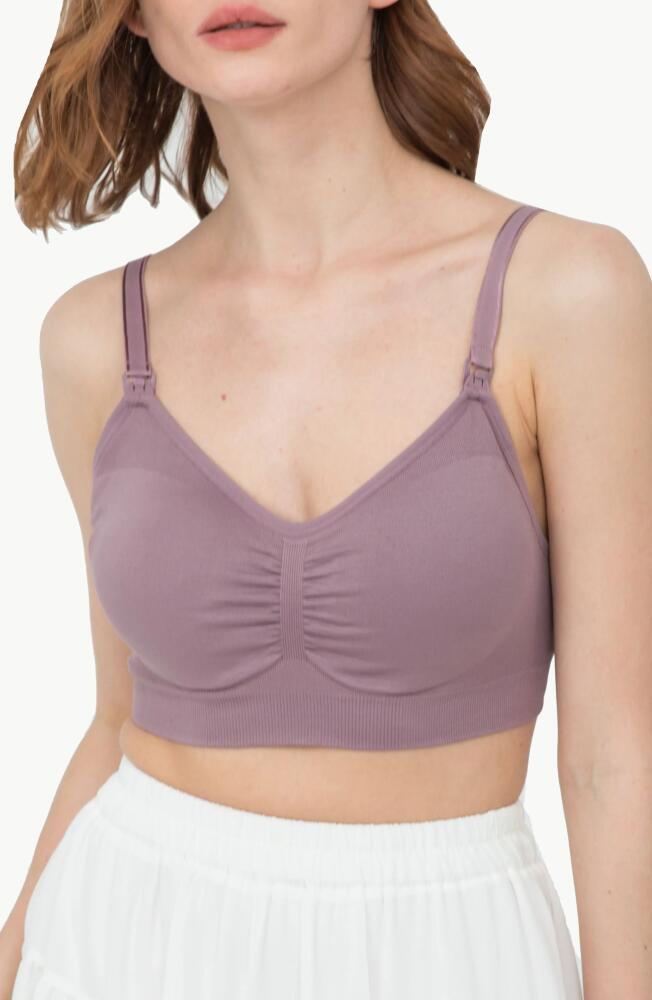 Modern Eternity Seamless Maternity/Nursing Bra in Lavender Cover