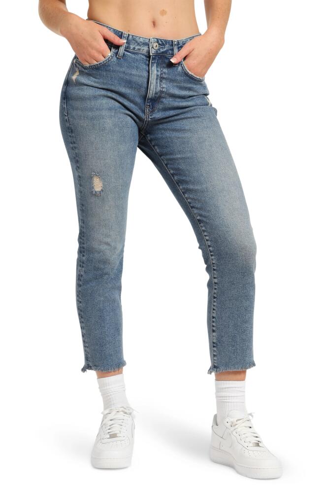 Brooklyn Industries Court Frayed High Waist Ankle Tapered Jeans in Shaded Ripped Denim Cover