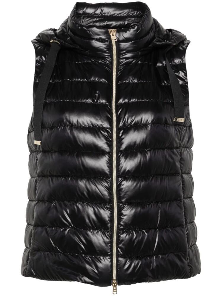 Herno hooded padded gilet - Black Cover