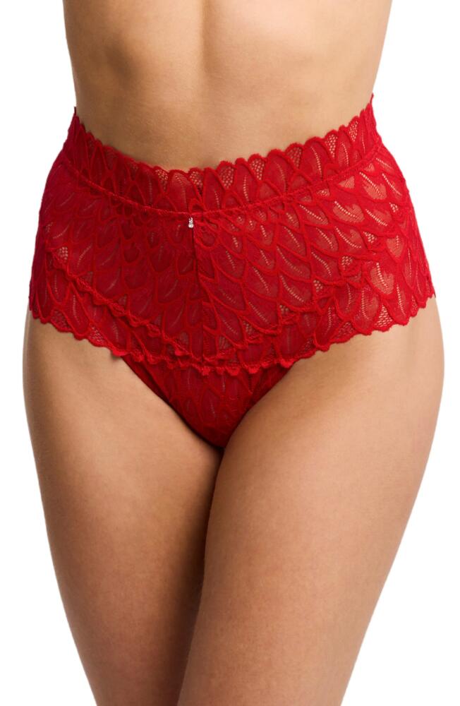 Montelle Intimates Lacey High Waist Lace Briefs in Sweet Red Cover