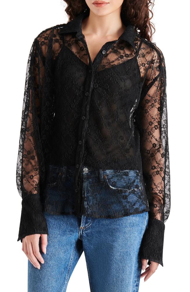 Steve Madden Dawson Lace Shirt in Black Cover