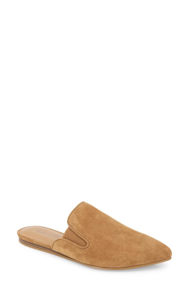 Splendid Liza Pointed Toe Mule in Macchiato Cover