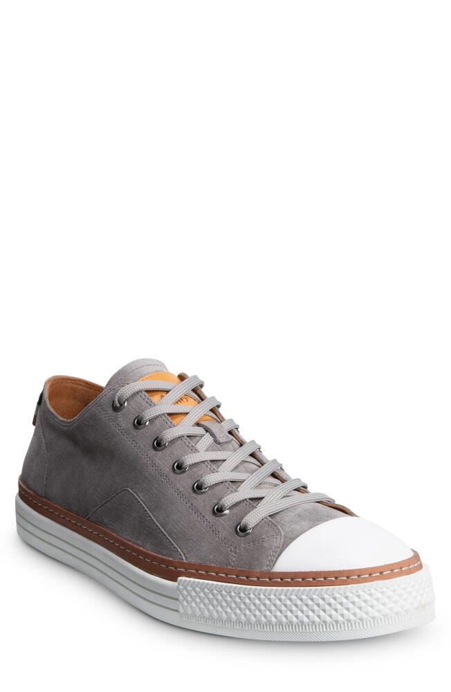 Allen Edmonds Pasadena Sneaker in Grey Cover