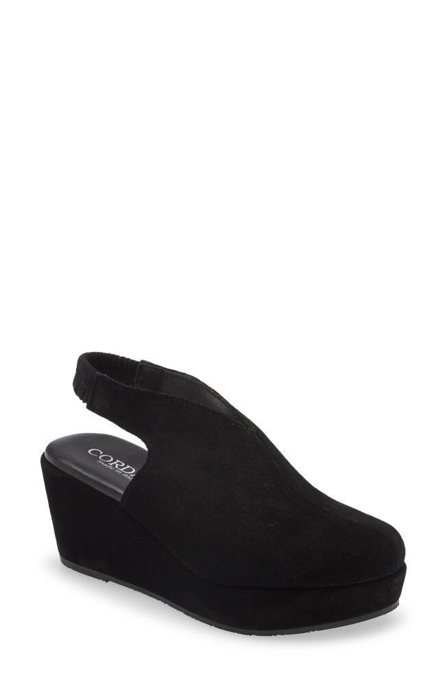 Cordani Donny Slingback Platform Wedge in Black Suede Cover