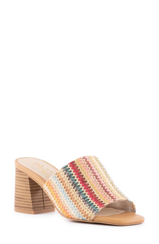 Seychelles Seychelle Adapt Slide Sandal in Multi Raffia Cover