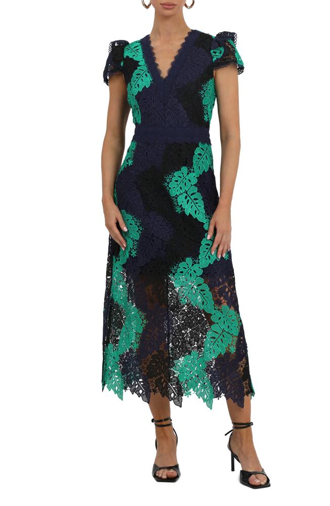 Adelyn Rae Adeline Palm Lace Midi Dress in Black Navy Green Cover