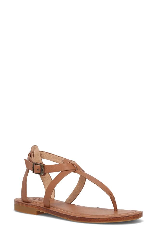 Frye Taylor Ankle Strap Sandal in Tan Cover