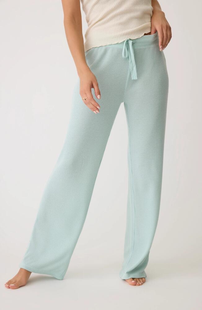 PJ Salvage Take it Easy Waffle Knit Pajamas Pants in Seafoam Cover