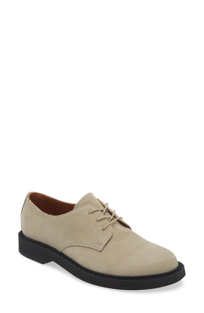 Common Projects Plain Toe Derby in Grey Cover