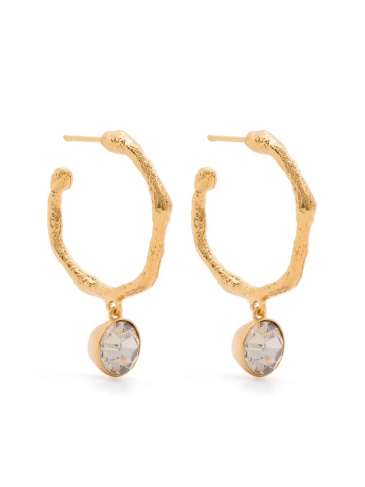 Forte Forte crystal-pendant hoop earrings - Gold Cover