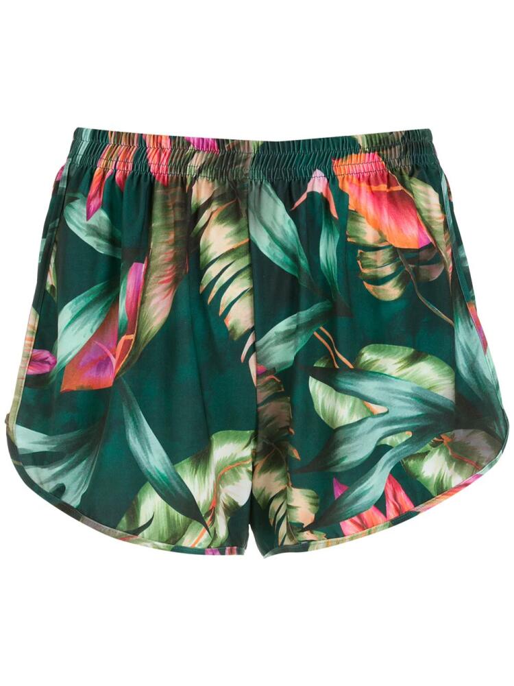 Lygia & Nanny Lee leaf-print shorts - Green Cover