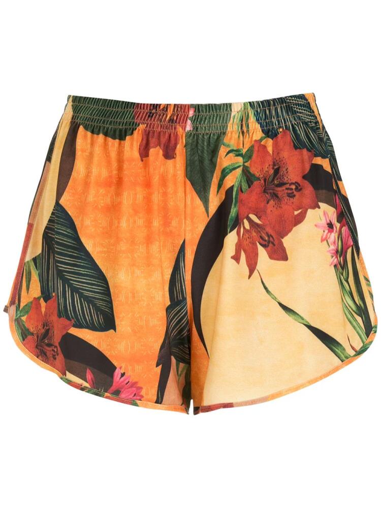 Lygia & Nanny Lee floral-print shorts - Yellow Cover