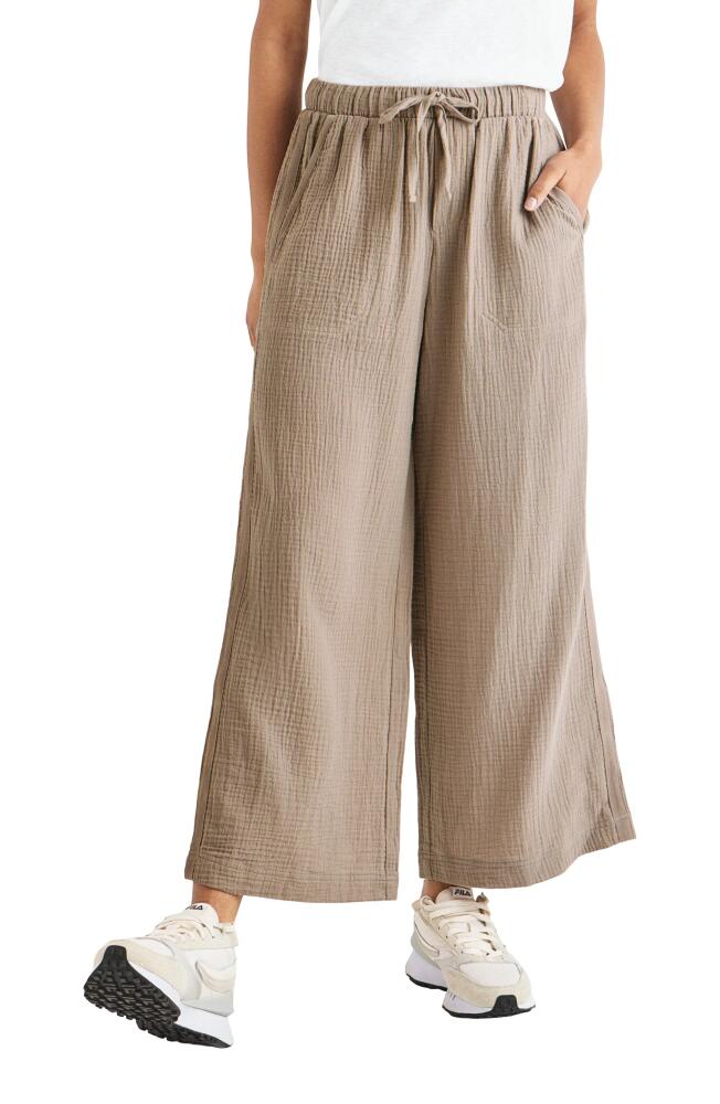 Splendid Kit Cotton Palazzo Pants in Rattan Cover