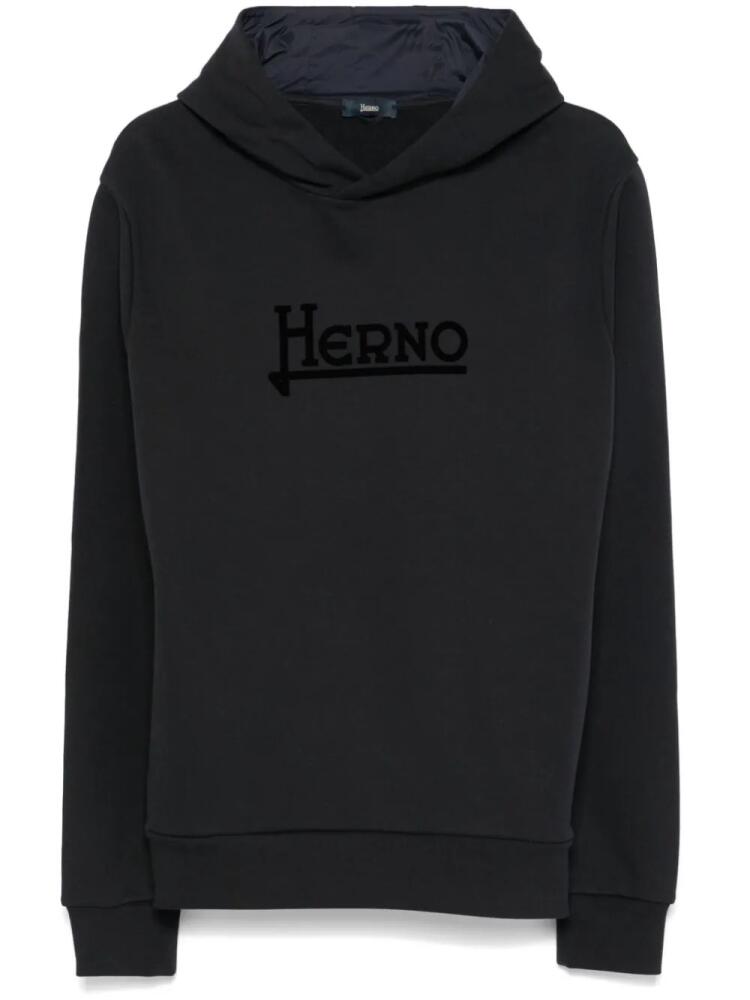 Herno cotton hoodie - Blue Cover