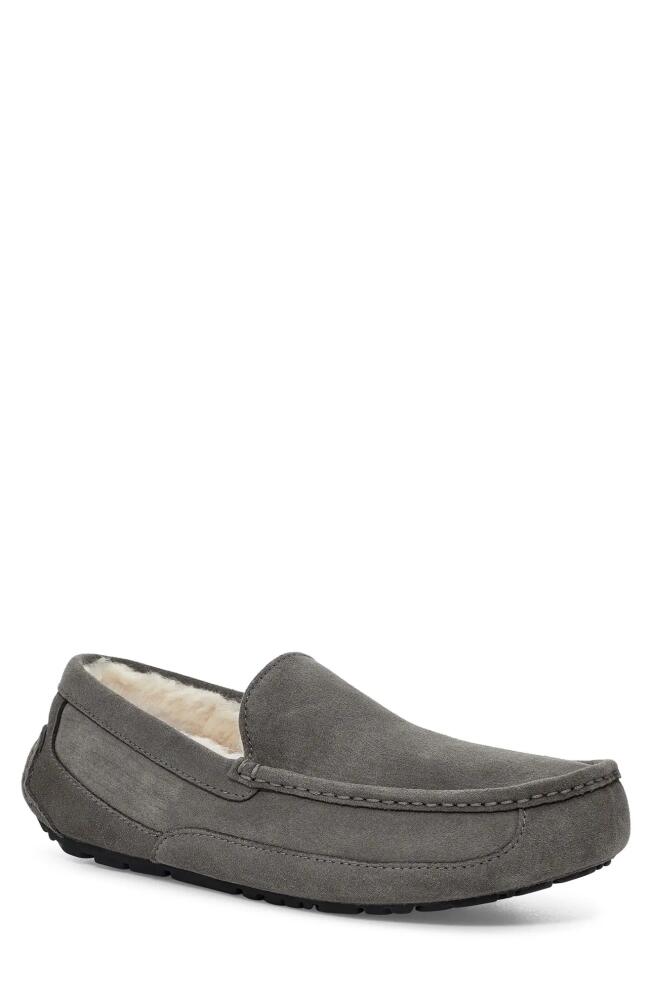 UGG(r) Ascot Leather Slipper in Grey Cover