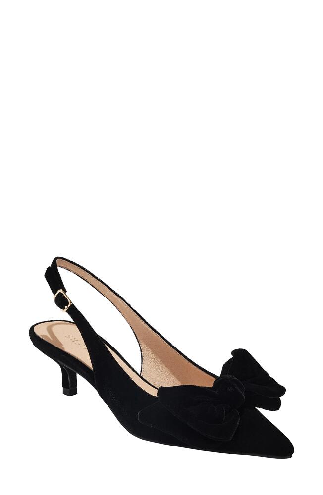 Jack Rogers Debra Kitten Heel Pointed Toe Slingback Pump in Black Cover