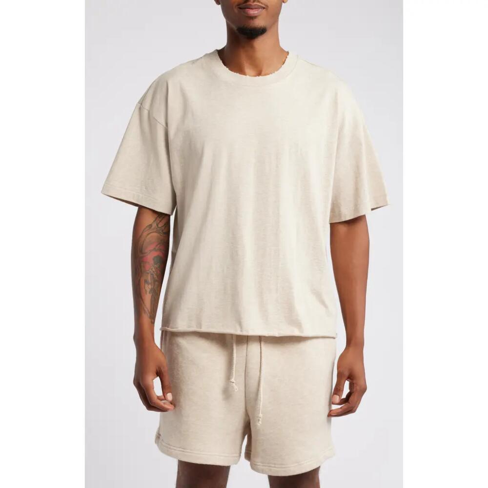 Elwood Core Crop Organic Cotton Tee in Oatmeal Cover