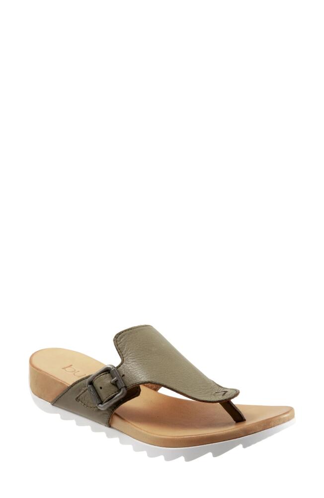 Bueno Frankly Sandal in Sage Cover