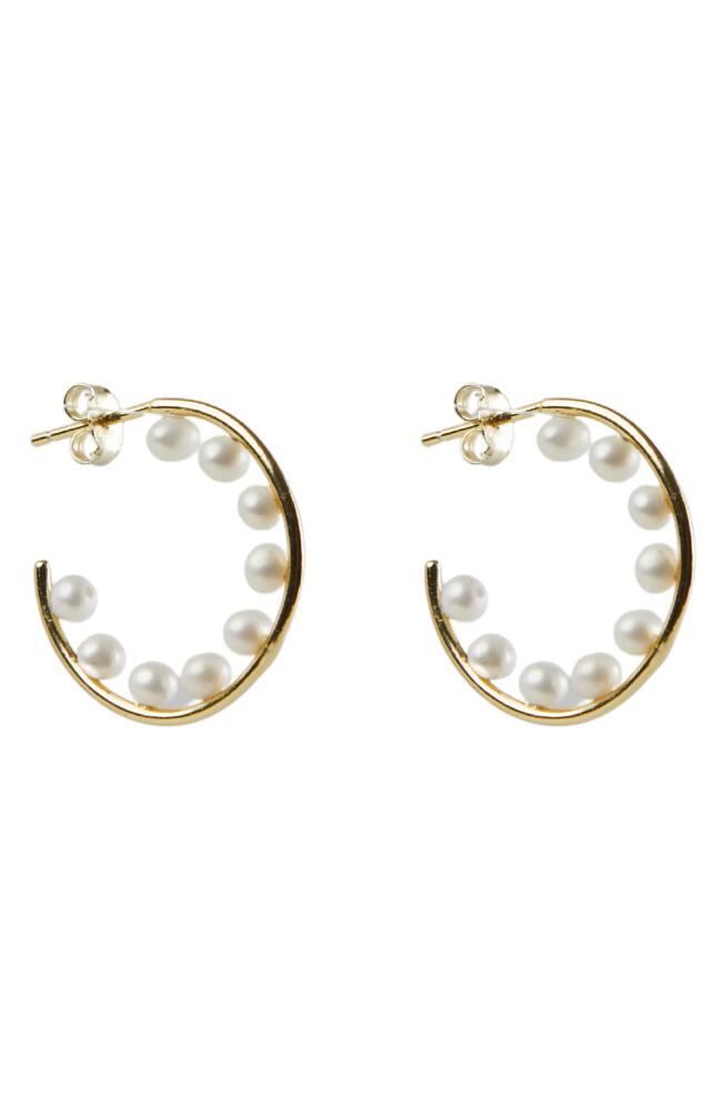 Argento Vivo Sterling Silver Imitation Pearl Hoop Earrings in Gold Cover