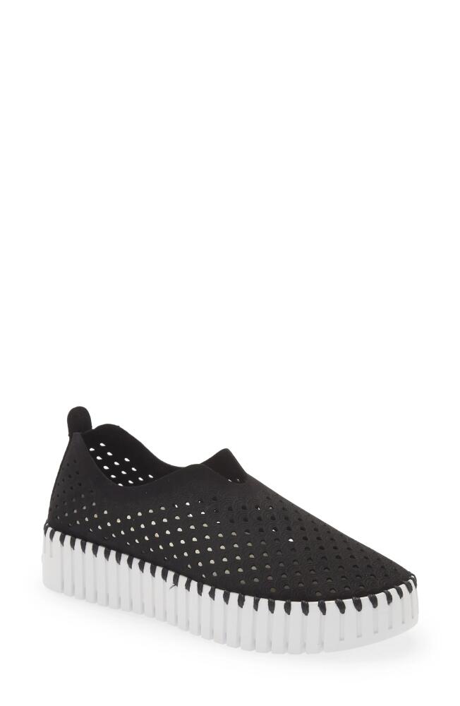 Ilse Jacobsen Tulip Sneaker in Black Cover