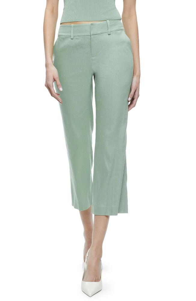 Alice + Olivia Janis Linen Blend Crop Flare Pants in Sage Cover