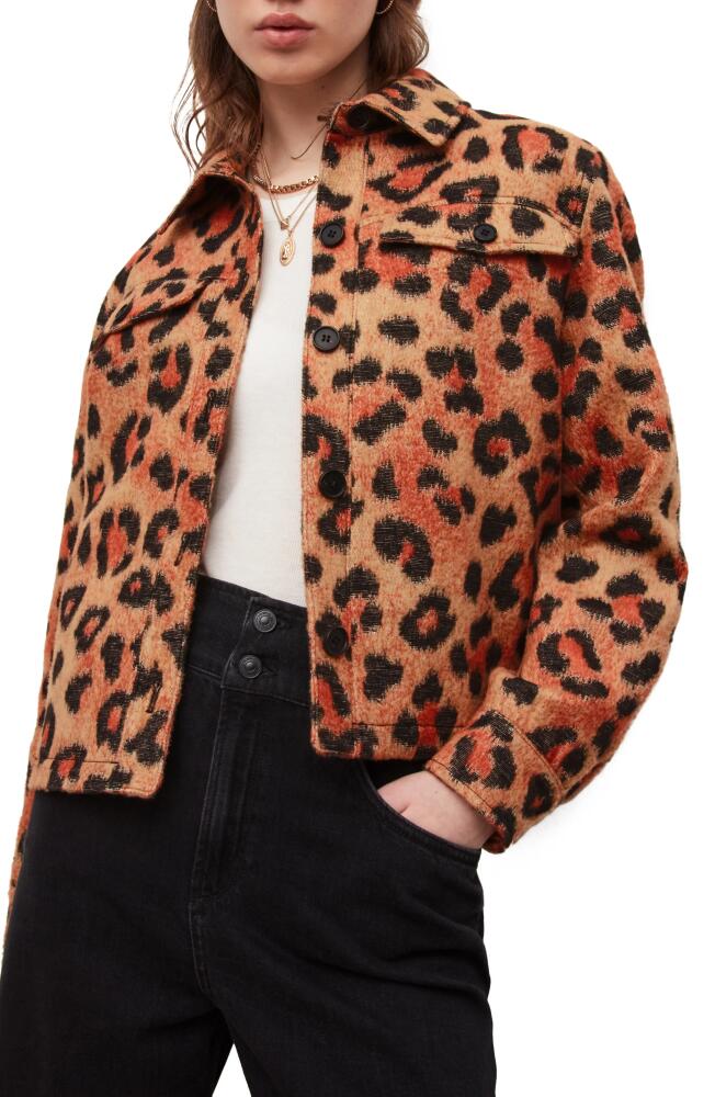 AllSaints Honor Leopard Print Jacket in Brown Cover