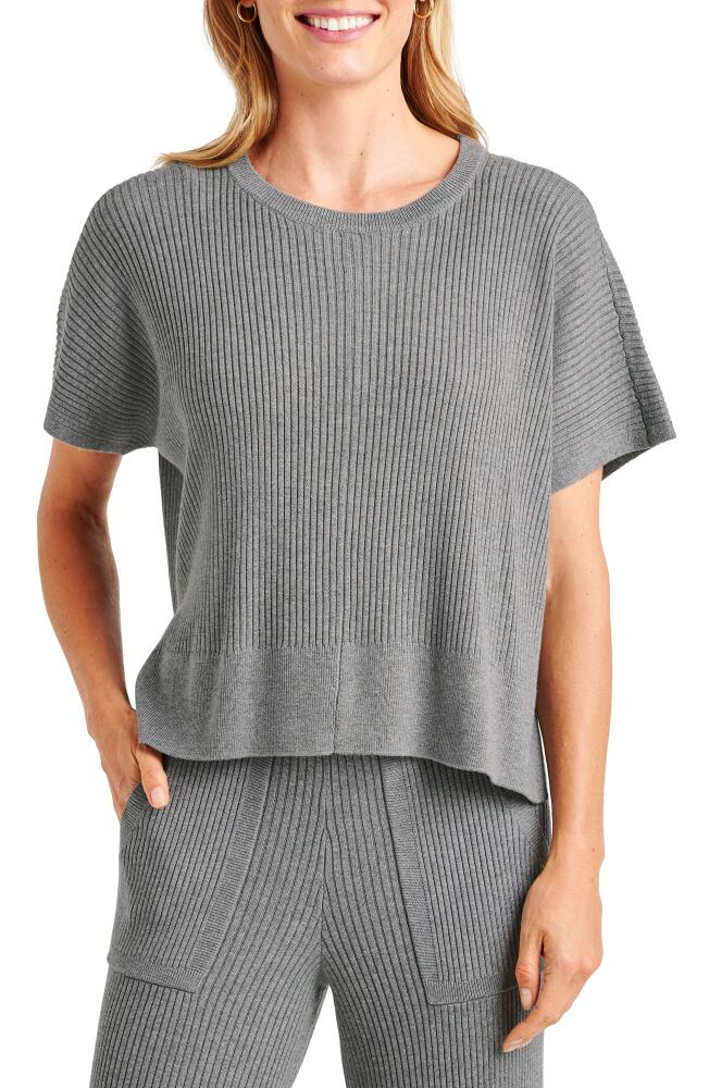 Splendid Georgie Short Sleeve Rib Sweater in Heather Grey Cover