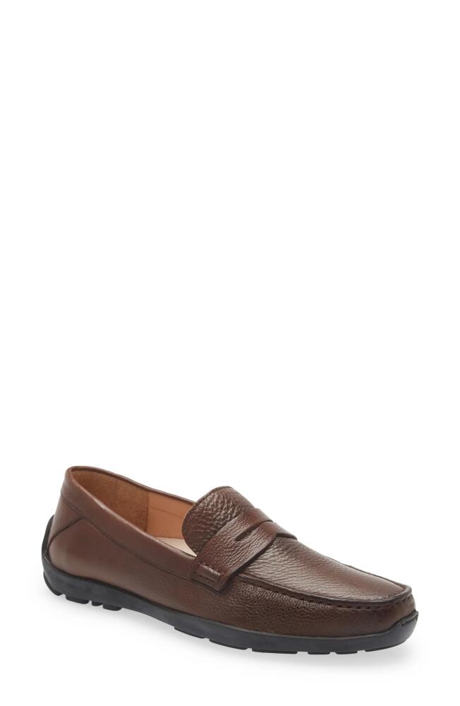 Samuel Hubbard Free Spirit for Him Loafer in Brown Leather Cover