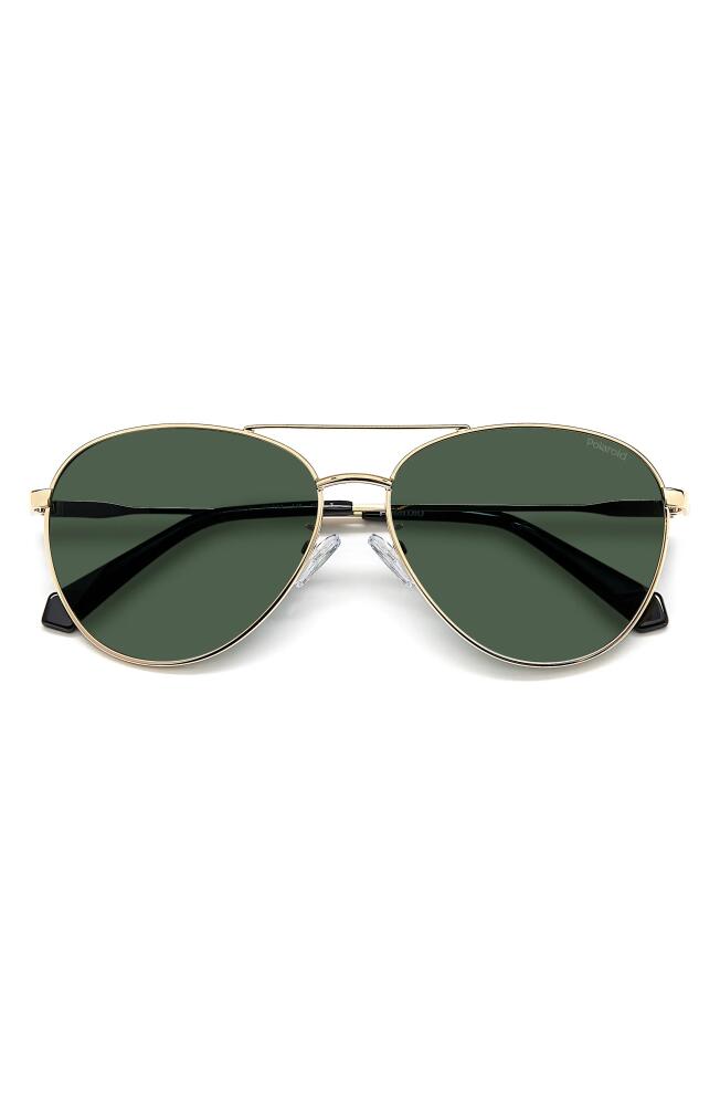 Polaroid 60mm Polarized Aviator Sunglasses in Gold Green/Green Polarized Cover