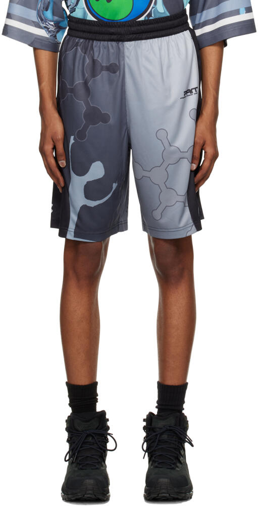 Perks and Mini Gray Sublimated Shorts Cover