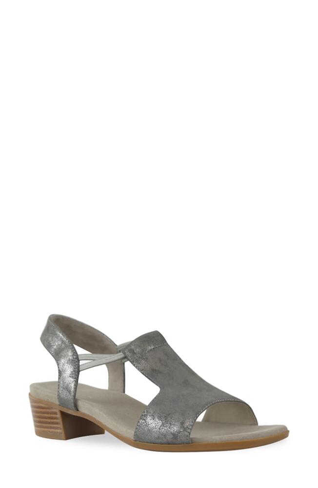 Munro Susan T-Strap Sandal in Gunmetal Cover