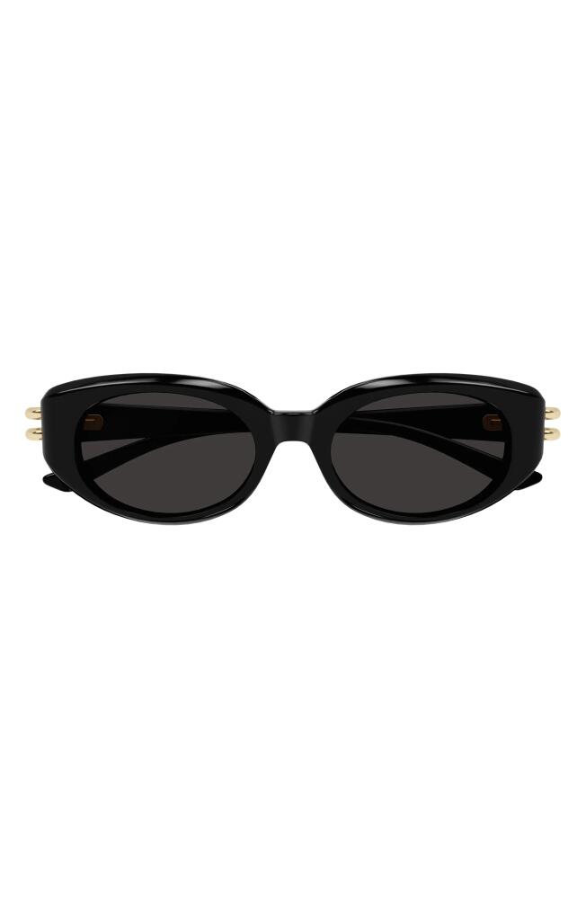 Alexander McQueen 50mm Round Sunglasses in Black Cover