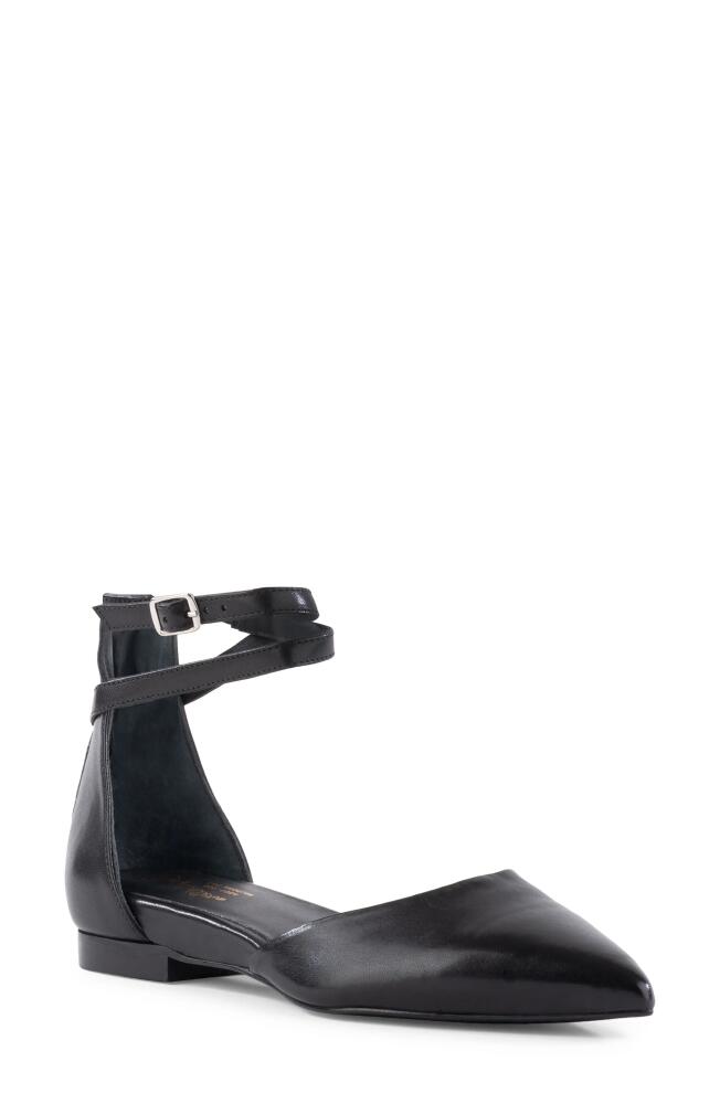 Seychelles Ankle Strap d'Orsay Pointed Toe Flat in Black Cover