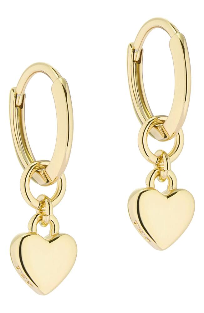 Ted Baker London Tiny Heart Huggie Drop Earrings in Gold Tone Cover