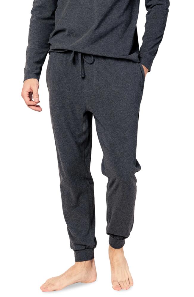 Petite Plume Pima Cotton Pajama Joggers in Grey Cover