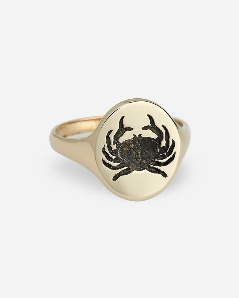 J.Crew TALON JEWELRY zodiac signet ring Cover