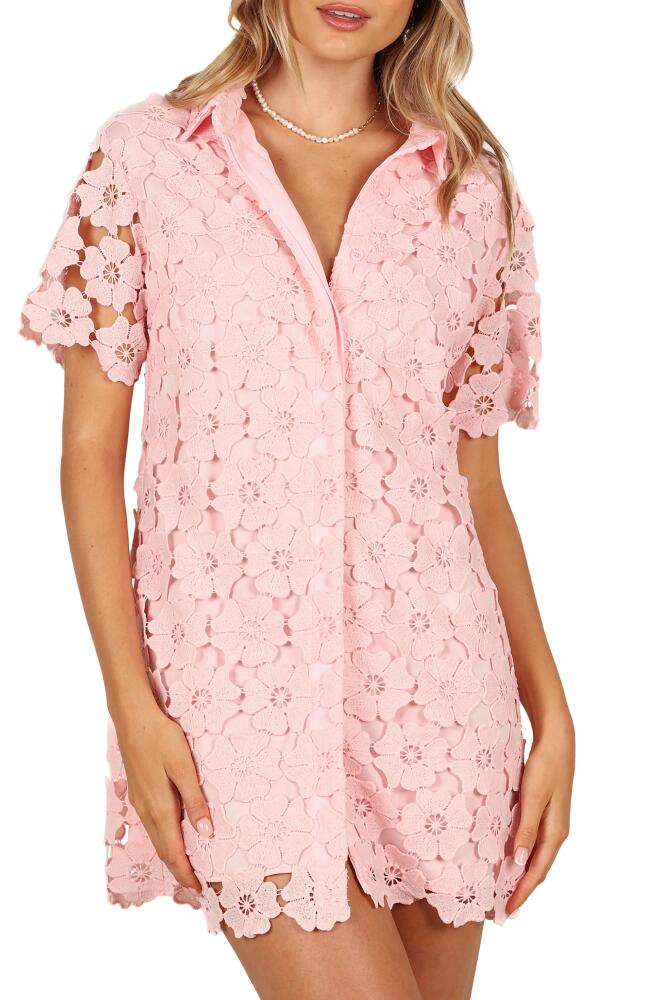 Petal & Pup Tallie Floral Lace Shirtdress in Pink Cover