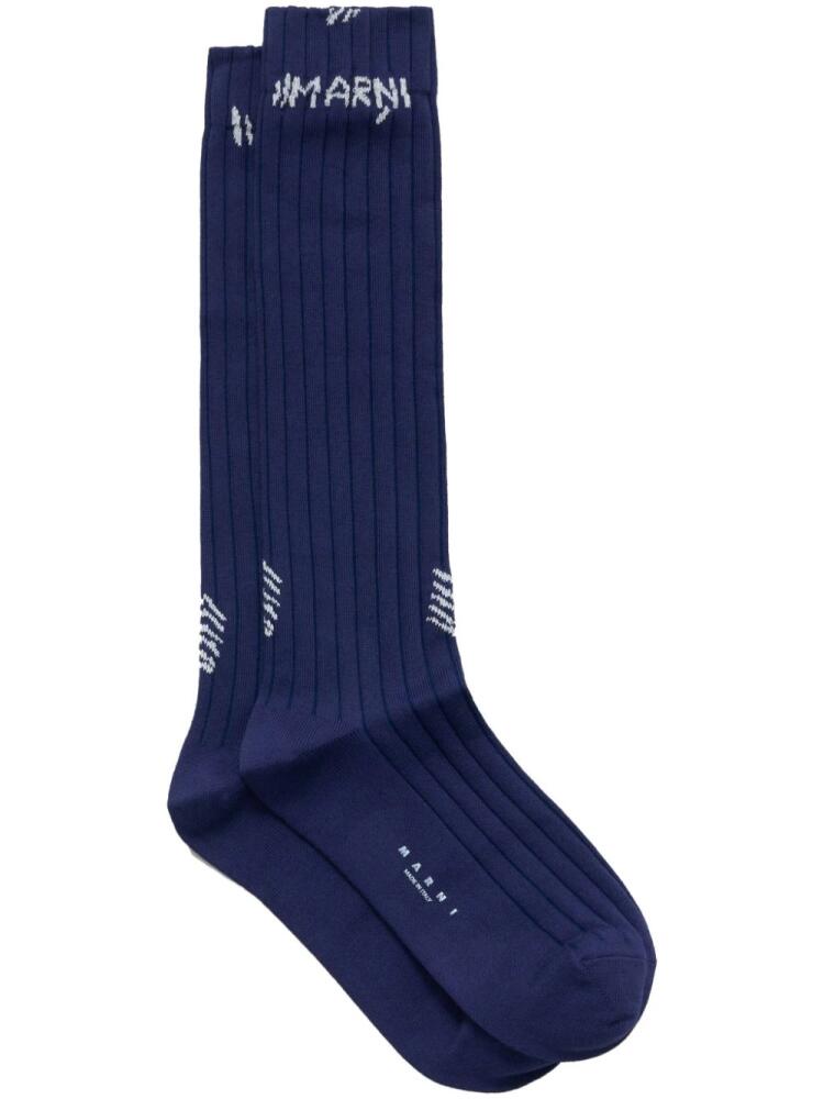 Marni logo woven ribbed socks - Blue Cover