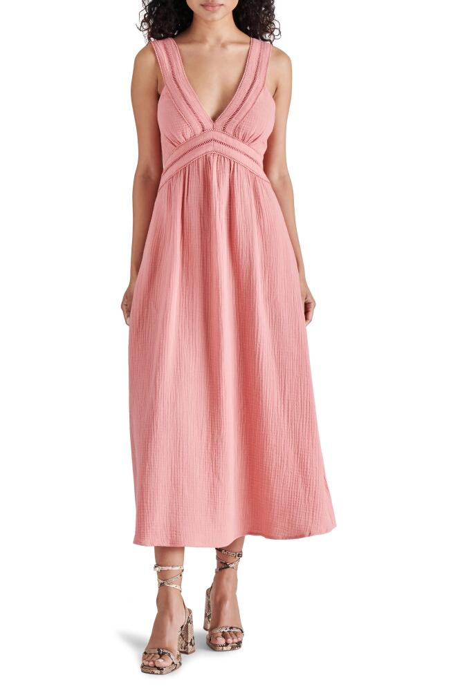 Steve Madden Taryn Cotton Midi Dress in Rose Mauve Cover