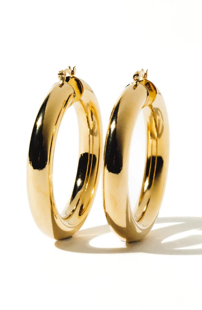 Child of Wild Aubree Large Tube Hoop Earrings in Gold Cover