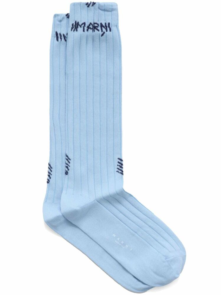 Marni logo-jacquard ribbed socks - Blue Cover