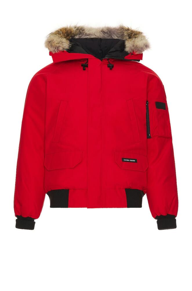 Canada Goose Chilliwack Bomber in Red Cover