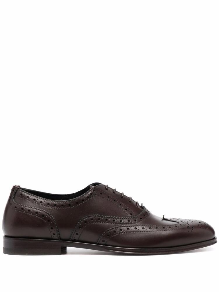 Scarosso Judy lace-up leather brogues - Brown Cover