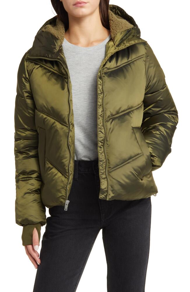 UGG(r) Ronney Water Resistant Crop Puffer Jacket in Burnt Olive Cover