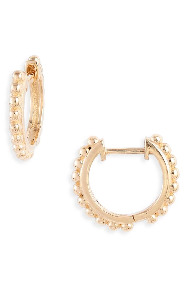 Anzie Dew Drop Huggie Hoop Earrings in Gold Cover