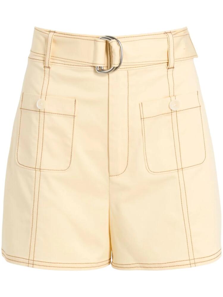 Cinq A Sept Hayes belted shorts - Neutrals Cover