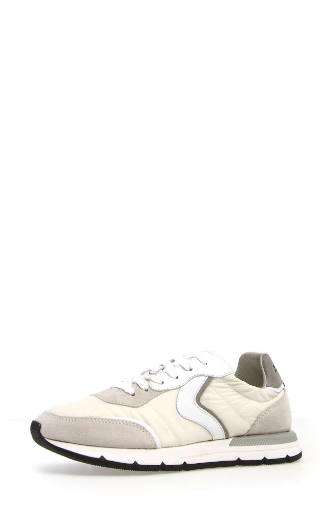 Voile Blanche Storm Sneaker in Grey Cover